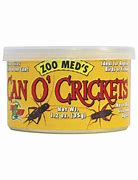 Image result for Petco Crickets for Sale