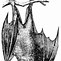 Image result for Transparent Bat Drawing