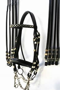 Image result for Bridle Buckles