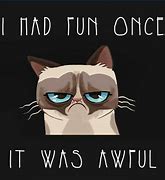 Image result for Cartoon Grumpy Cat Quotes