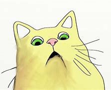 Image result for Hello Cat Meme