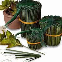 Image result for Floral Wire Pick