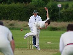 Image result for Cricket Stock Images. Free