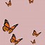 Image result for Aesthetic Wallpaper Sunset Pink Butterfly