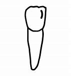 Image result for Incisor Teeth PNG