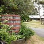 Image result for avoca