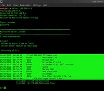 Image result for Brute Force Attack
