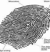 Image result for Advantages of Fingerprint Recognition