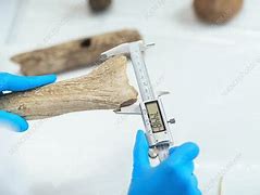 Image result for Archaeological Measuring Tools