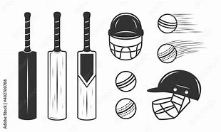 Image result for Cricket Bat Ball