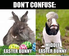 Image result for funny bunnies meme easter