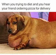 Image result for Super Funny Puppy Memes