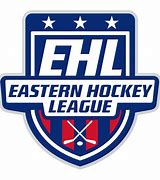 Image result for National Hockey League