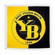 Image result for yb