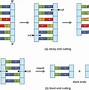 Image result for Plasmid DNA and gDNA