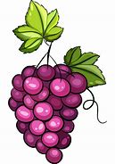 Image result for Sun Burn in Grapes HD