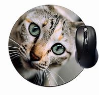 Image result for Cat Mouse Mat