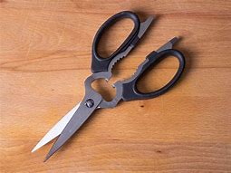 Image result for Scissors for Kitchen Use and Bones