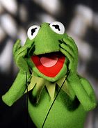 Image result for Kermit the Frog Face Closeup