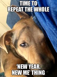 Image result for New Year's Resolutions Funny Dogs