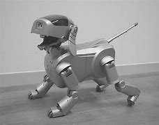 Image result for Aibo Ers 7M3