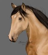 Image result for Lusitano Horse Drawing
