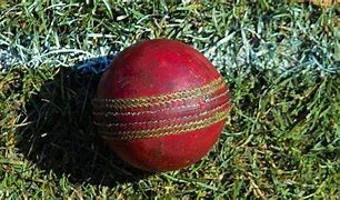 Image result for Reverse Swing Cricket