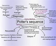 Image result for Potter's Sequence