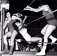 Image result for Vintage Pro Wrestling Matches