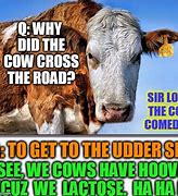Image result for Your a Cow Meme