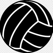 Image result for White Volleyball Logo