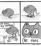 Image result for Wait What Cat Meme