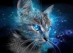 Image result for Abstract Cat Wallpaper