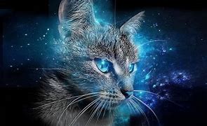 Image result for Cool Cat Wallpaper Blue