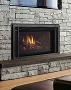 Image result for Gas Log Fireplace Inserts