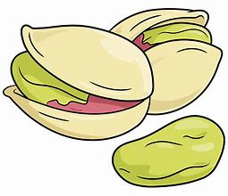 Image result for Pistachio Drawing