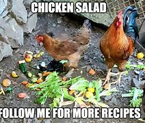 Image result for Chicken Salad Meme