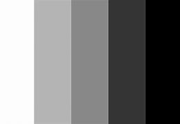 Image result for Grayscale Strips