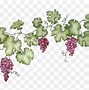 Image result for Wine Grape Vine Clip Art