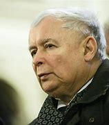 Image result for co_to_znaczy_zygmunt_kaczyński