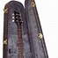 Image result for Electric Guitar Case