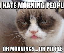 Image result for Grumpy Good Morning Meme