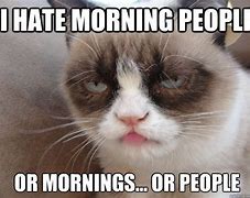 Image result for Grumpy Cat Good Morning