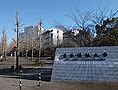 Image result for Tokyo University Autumn