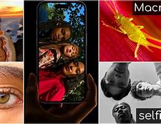 Image result for iPhone 14 Pro Max Photo Samples
