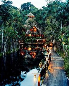 The Amazon Rainforest in Brazil | Found on travelshare.it | Beautiful places to visit, Places to travel, Beautiful places