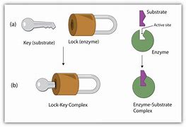 Image result for Lock and Key Unlocking