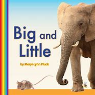Image result for Big and Little Book