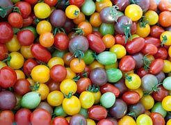 Image result for Red Tomato