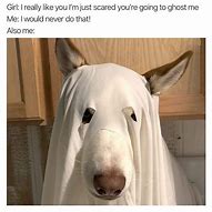 Image result for Halloween Cat Memes